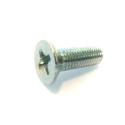 TORNILLO FLANGE DISCO // BISAGRA INTERIOR.  SKU SF604061