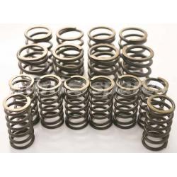 RESORTES DE VALVULA DOBLES 130-160LB (road use). SKU C-AEA525