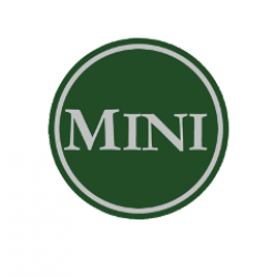 EMBLEMA 42MM MINI VERDE (CENTRO LLANTA). SKU 42mm-MINI VERDE