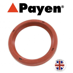 RETEN DE EMBRAGUE (TODOS LOS MODELOS) - PAYEN - UK. SKU 13H2934PAYEN